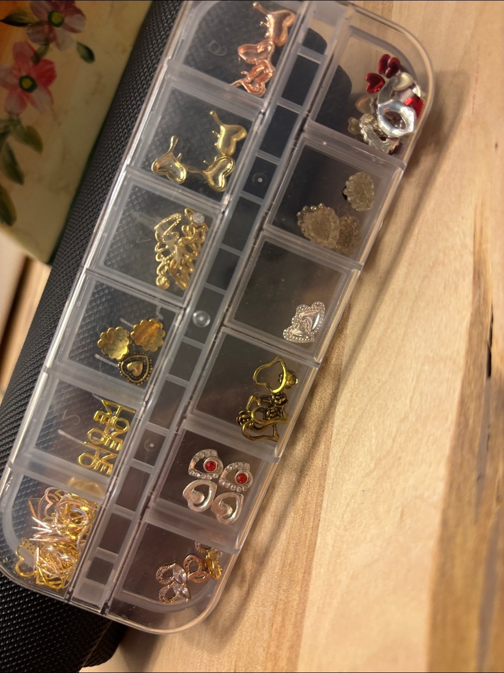 Clear Multi-Compartment Bead & Jewelry Storage Case with Assorted Charms
